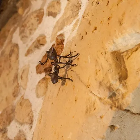 Lilla Myra Cagliari